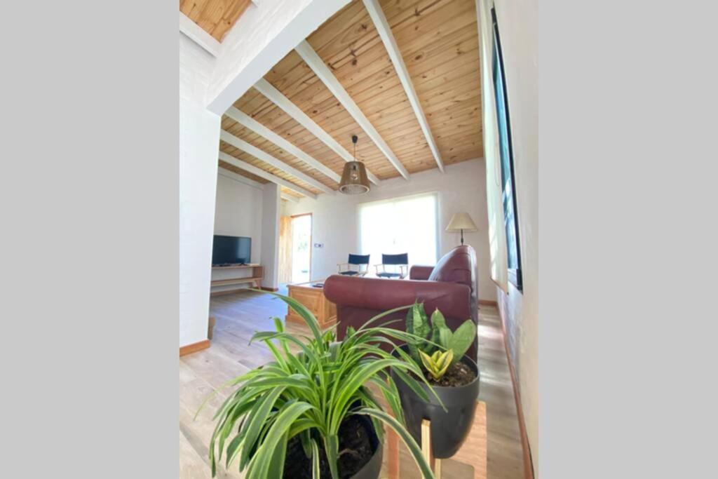 Fincas Del Real Колонія-дель-Сакраменто Екстер'єр фото